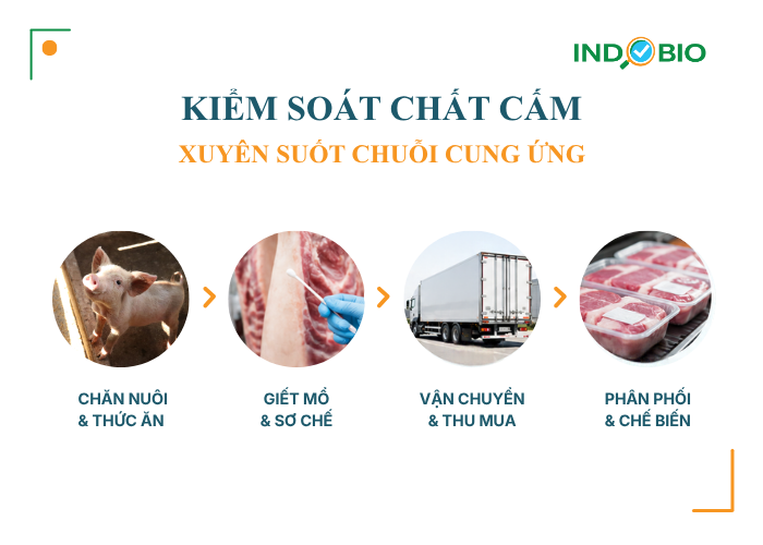 Kiểm soát chất cấm salbutamol xuyên suốt chuỗi cung ứng